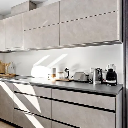 Vesiroosi Penthouse By River פארנו