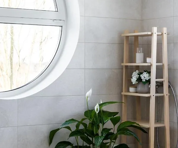 Vesiroosi Penthouse By River