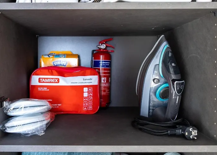 Vesiroosi Penthouse By River * 派尔努